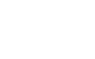 Adriana Flores - Desarrollo de Talento